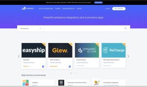 Top E-Commerce Platform Reviews Unveiling Insights