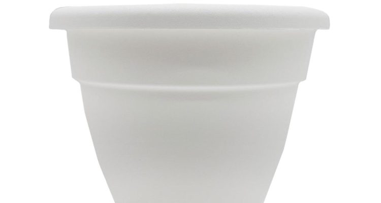 Best Indoor Planters For Homes That Elevate Your Space